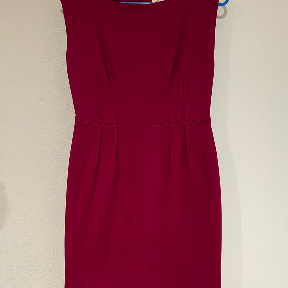 Elegant Burgundy Women's Dress
